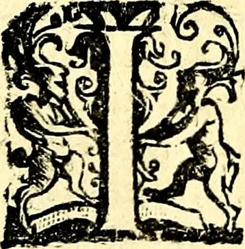 An illustration from Imprese illustri di diuersi, coi discorsi di Camillo Camilli, et con le figure intagliate in rame di Girolamo Porro Padouano .., 1586, leaf 231
