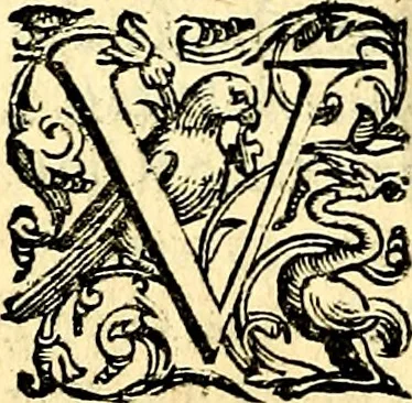 An illustration from Imprese illustri di diuersi, coi discorsi di Camillo Camilli, et con le figure intagliate in rame di Girolamo Porro Padouano .., 1586, leaf 237