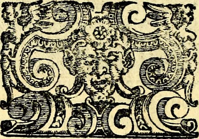 An illustration from Imprese illustri di diuersi, coi discorsi di Camillo Camilli, et con le figure intagliate in rame di Girolamo Porro Padouano .., 1586, leaf 239