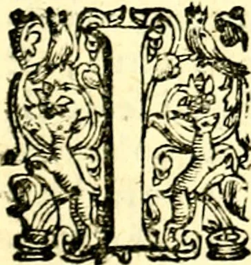 An illustration from Imprese illustri di diuersi, coi discorsi di Camillo Camilli, et con le figure intagliate in rame di Girolamo Porro Padouano .., 1586, leaf 240