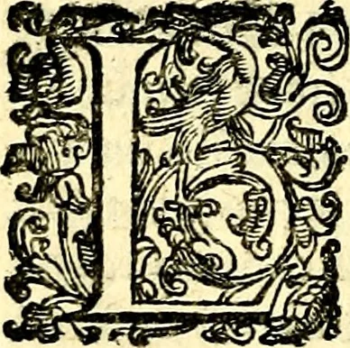 An illustration from Imprese illustri di diuersi, coi discorsi di Camillo Camilli, et con le figure intagliate in rame di Girolamo Porro Padouano .., 1586, leaf 255