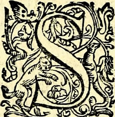 An illustration from Imprese illustri di diuersi, coi discorsi di Camillo Camilli, et con le figure intagliate in rame di Girolamo Porro Padouano .., 1586, leaf 261