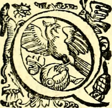An illustration from Imprese illustri di diuersi, coi discorsi di Camillo Camilli, et con le figure intagliate in rame di Girolamo Porro Padouano .., 1586, leaf 264