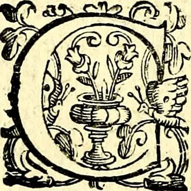 An illustration from Imprese illustri di diuersi, coi discorsi di Camillo Camilli, et con le figure intagliate in rame di Girolamo Porro Padouano .., 1586, leaf 267