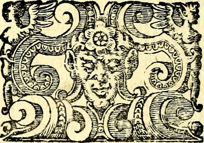An illustration from Imprese illustri di diuersi, coi discorsi di Camillo Camilli, et con le figure intagliate in rame di Girolamo Porro Padouano .., 1586, leaf 269