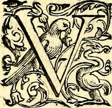 An illustration from Imprese illustri di diuersi, coi discorsi di Camillo Camilli, et con le figure intagliate in rame di Girolamo Porro Padouano .., 1586, leaf 27