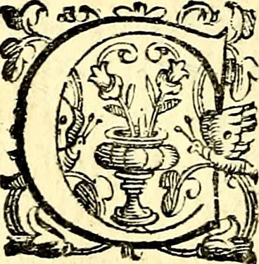 An illustration from Imprese illustri di diuersi, coi discorsi di Camillo Camilli, et con le figure intagliate in rame di Girolamo Porro Padouano .., 1586, leaf 279