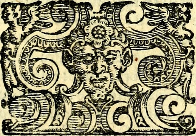 An illustration from Imprese illustri di diuersi, coi discorsi di Camillo Camilli, et con le figure intagliate in rame di Girolamo Porro Padouano .., 1586, leaf 296