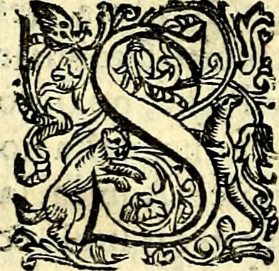An illustration from Imprese illustri di diuersi, coi discorsi di Camillo Camilli, et con le figure intagliate in rame di Girolamo Porro Padouano .., 1586, leaf 303