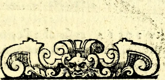An illustration from Imprese illustri di diuersi, coi discorsi di Camillo Camilli, et con le figure intagliate in rame di Girolamo Porro Padouano .., 1586, leaf 308