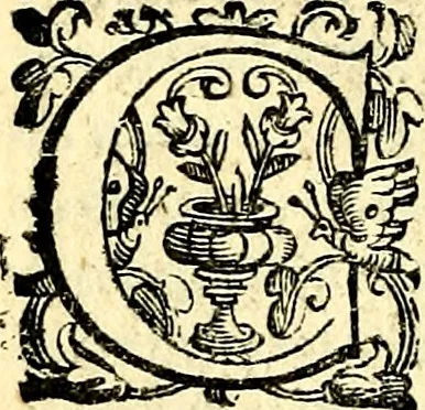 An illustration from Imprese illustri di diuersi, coi discorsi di Camillo Camilli, et con le figure intagliate in rame di Girolamo Porro Padouano .., 1586, leaf 309