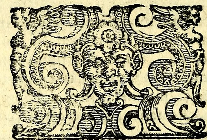 An illustration from Imprese illustri di diuersi, coi discorsi di Camillo Camilli, et con le figure intagliate in rame di Girolamo Porro Padouano .., 1586, leaf 317