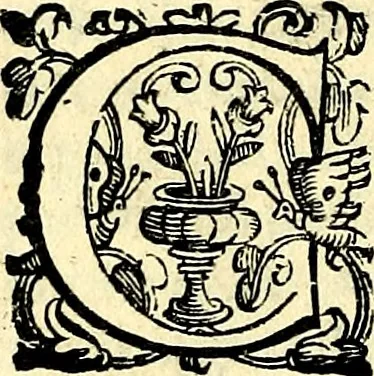 An illustration from Imprese illustri di diuersi, coi discorsi di Camillo Camilli, et con le figure intagliate in rame di Girolamo Porro Padouano .., 1586, leaf 339