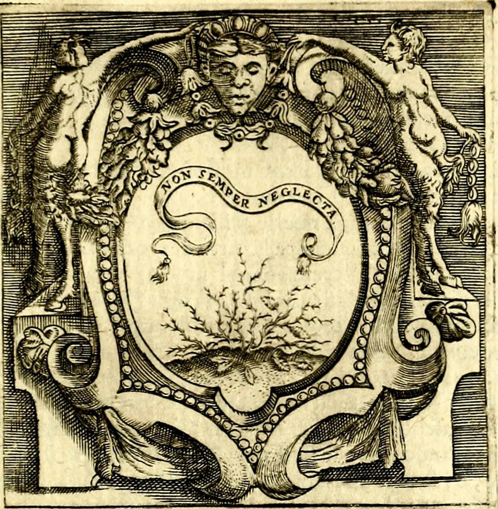 An illustration from Imprese illustri di diuersi, coi discorsi di Camillo Camilli, et con le figure intagliate in rame di Girolamo Porro Padouano .., 1586, leaf 346