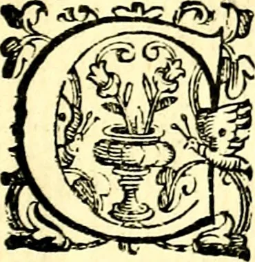 An illustration from Imprese illustri di diuersi, coi discorsi di Camillo Camilli, et con le figure intagliate in rame di Girolamo Porro Padouano .., 1586, leaf 346