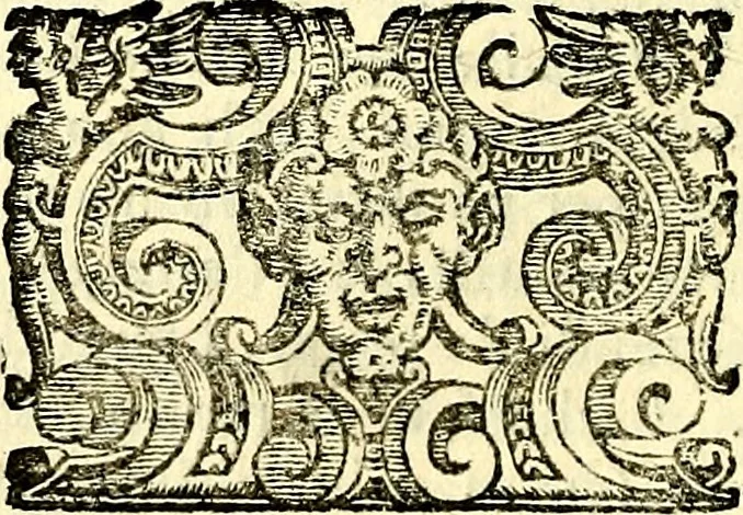 An illustration from Imprese illustri di diuersi, coi discorsi di Camillo Camilli, et con le figure intagliate in rame di Girolamo Porro Padouano .., 1586, leaf 35