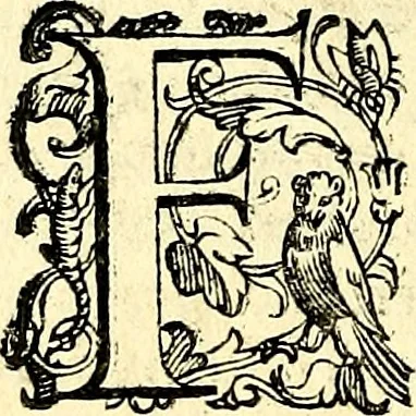 An illustration from Imprese illustri di diuersi, coi discorsi di Camillo Camilli, et con le figure intagliate in rame di Girolamo Porro Padouano .., 1586, leaf 51