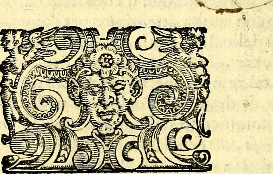An illustration from Imprese illustri di diuersi, coi discorsi di Camillo Camilli, et con le figure intagliate in rame di Girolamo Porro Padouano .., 1586, leaf 53
