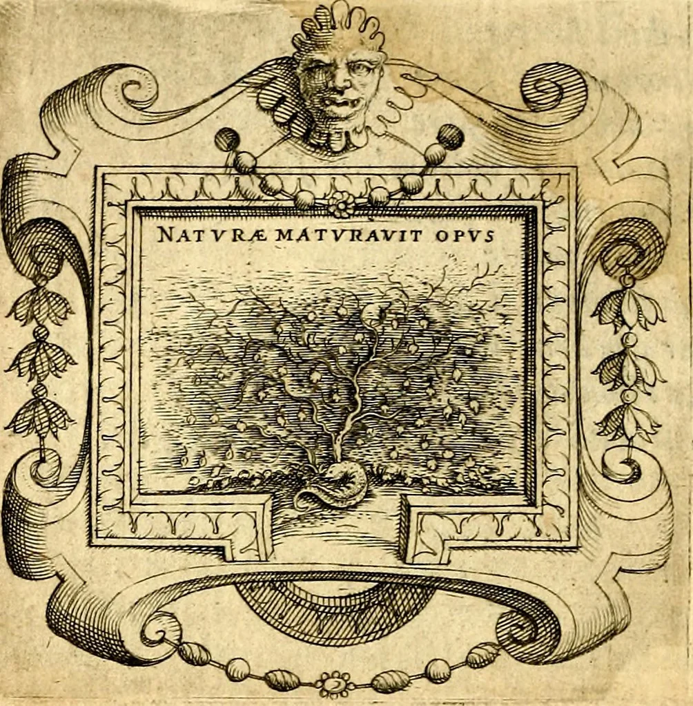 An illustration from Imprese illustri di diuersi, coi discorsi di Camillo Camilli, et con le figure intagliate in rame di Girolamo Porro Padouano .., 1586, leaf 57