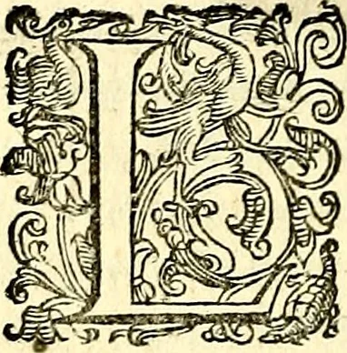 An illustration from Imprese illustri di diuersi, coi discorsi di Camillo Camilli, et con le figure intagliate in rame di Girolamo Porro Padouano .., 1586, leaf 63