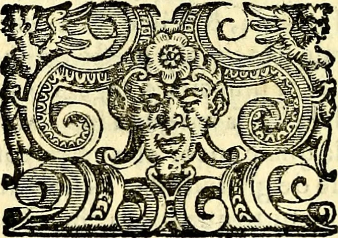 An illustration from Imprese illustri di diuersi, coi discorsi di Camillo Camilli, et con le figure intagliate in rame di Girolamo Porro Padouano .., 1586, leaf 71