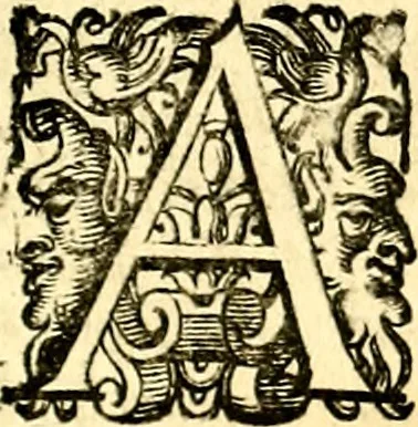 An illustration from Imprese illustri di diuersi, coi discorsi di Camillo Camilli, et con le figure intagliate in rame di Girolamo Porro Padouano .., 1586, leaf 8