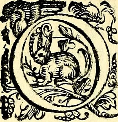 An illustration from Imprese illustri di diuersi, coi discorsi di Camillo Camilli, et con le figure intagliate in rame di Girolamo Porro Padouano .., 1586, leaf 87