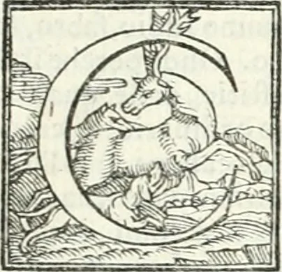 An illustration from Le imprese illvstri : con espositioni et discorsi, 1566, leaf 112