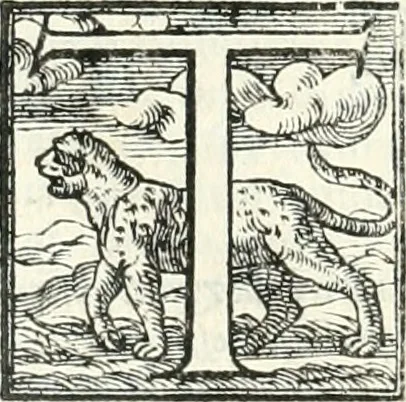 An illustration from Le imprese illvstri : con espositioni et discorsi, 1566, leaf 217