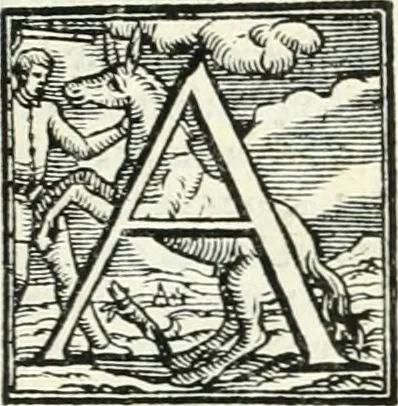 An illustration from Le imprese illvstri : con espositioni et discorsi, 1566, leaf 336