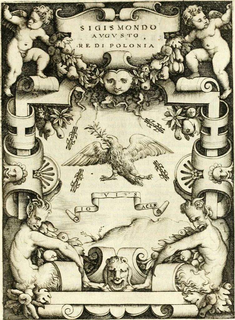 An illustration from Le imprese illvstri : con espositioni et discorsi, 1566, leaf 406