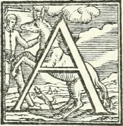 An illustration from Le imprese illvstri : con espositioni et discorsi, 1566, leaf 471