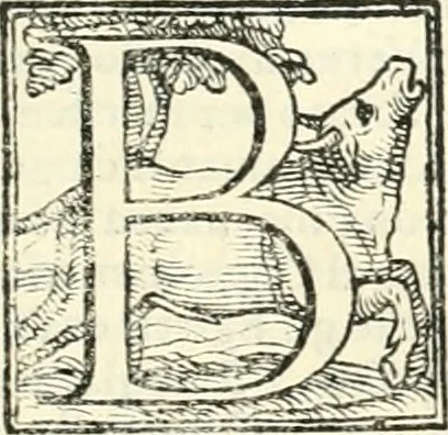An illustration from Le imprese illvstri : con espositioni et discorsi, 1566, leaf 486