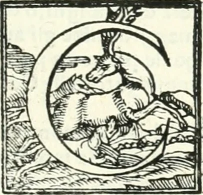 An illustration from Le imprese illvstri : con espositioni et discorsi, 1566, leaf 502
