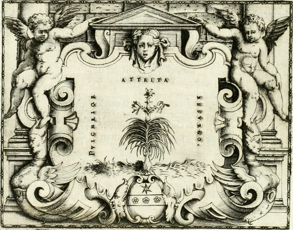 An illustration from Le imprese illvstri : con espositioni et discorsi, 1566, leaf 519