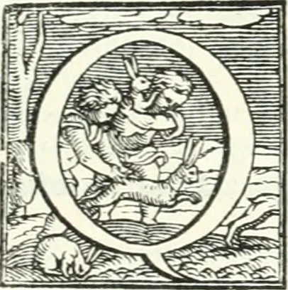 An illustration from Le imprese illvstri : con espositioni et discorsi, 1566, leaf 522