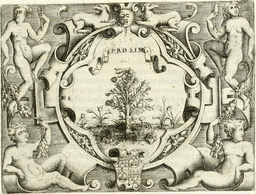 An illustration from Le imprese illvstri : con espositioni et discorsi, 1566, leaf 526