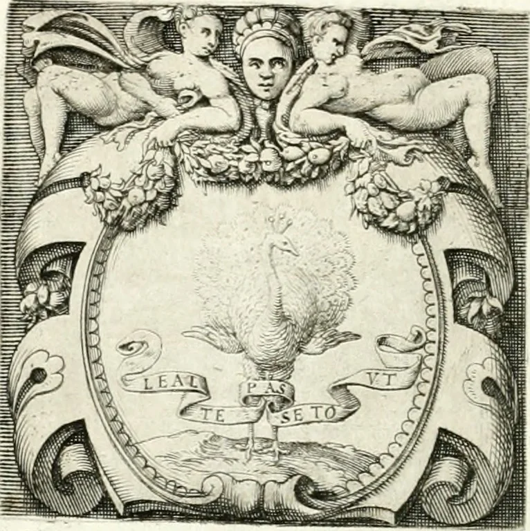 An illustration from Le imprese illvstri : con espositioni et discorsi, 1566, leaf 55