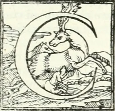 An illustration from Le imprese illvstri : con espositioni et discorsi, 1566, leaf 62