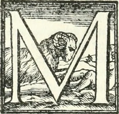 An illustration from Le imprese illvstri : con espositioni et discorsi, 1566, leaf 69