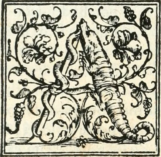 An illustration from Le imprese illvstri : con espositioni et discorsi, 1566, leaf 9