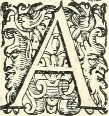 An illustration from Imprese illvstri di diuersi, 1586, leaf 100