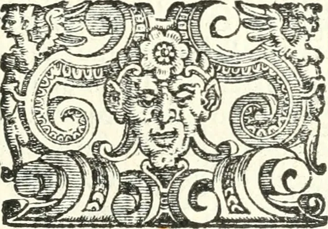 An illustration from Imprese illvstri di diuersi, 1586, leaf 102