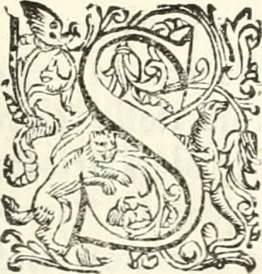 An illustration from Imprese illvstri di diuersi, 1586, leaf 106