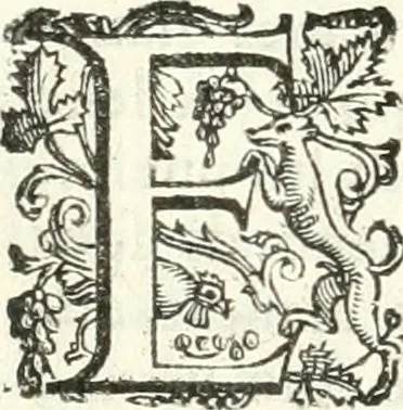 An illustration from Imprese illvstri di diuersi, 1586, leaf 109