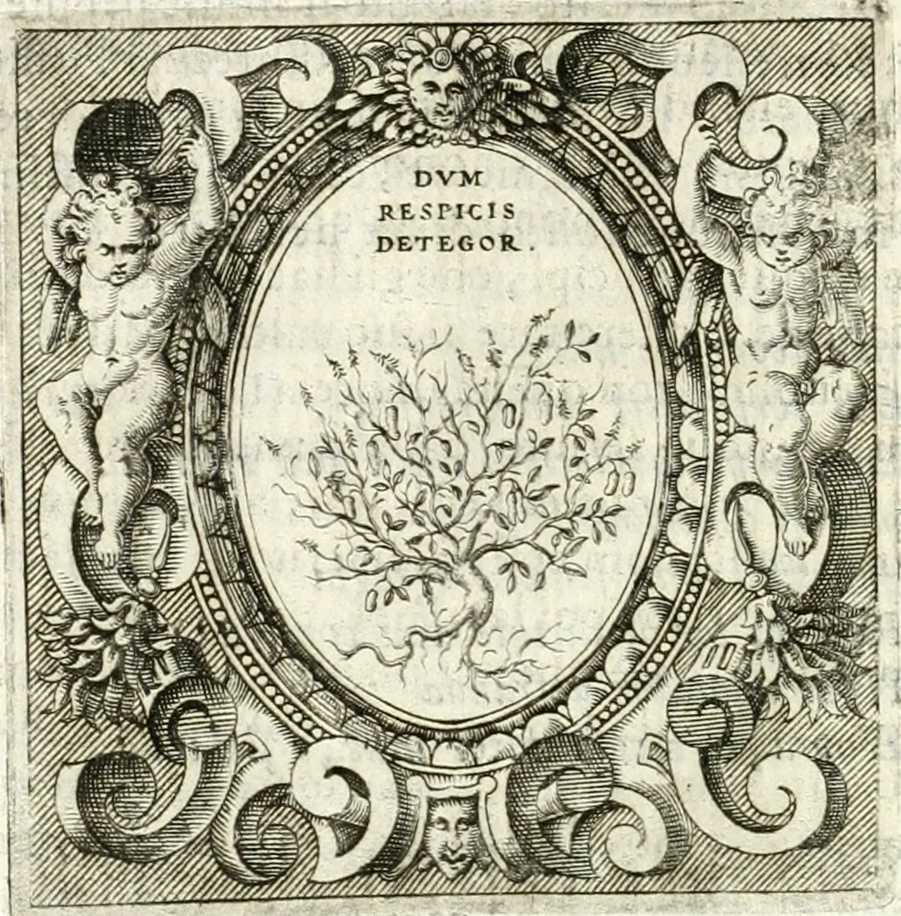 An illustration from Imprese illvstri di diuersi, 1586, leaf 115