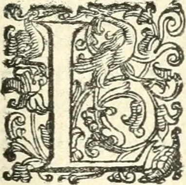 An illustration from Imprese illvstri di diuersi, 1586, leaf 118