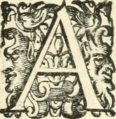 An illustration from Imprese illvstri di diuersi, 1586, leaf 12