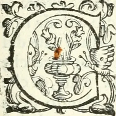 An illustration from Imprese illvstri di diuersi, 1586, leaf 130