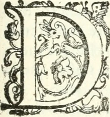 An illustration from Imprese illvstri di diuersi, 1586, leaf 136